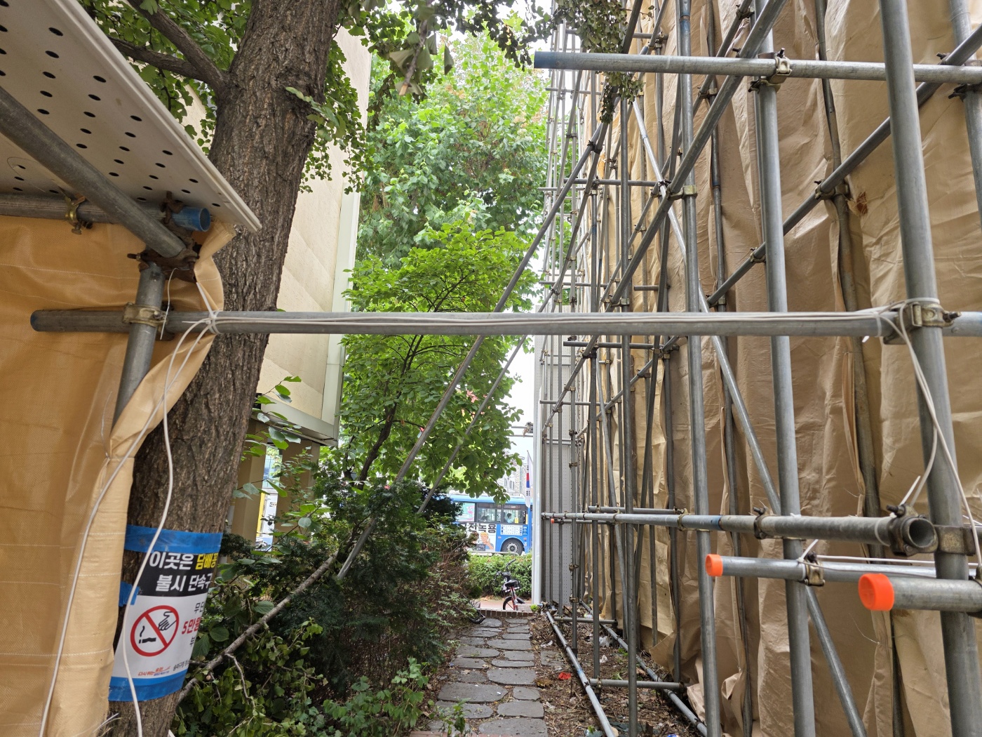 /user/c/captain/editor/2510/6df719e0a2c14ff2f7e3d86de4039cd8_1761118864_8924.jpg 이미지크게보기