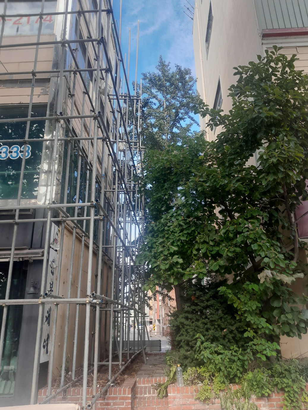 /user/c/captain/editor/2510/6df719e0a2c14ff2f7e3d86de4039cd8_1761118869_2464.jpg 이미지크게보기